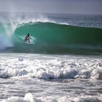 Andrew Hahn Photo 25