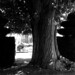 Richard Hedge Photo 8