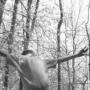 Nicholas Bush Photo 37