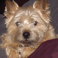 Julie Rawlins Photo 14