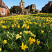 Robert Congleton Photo 11