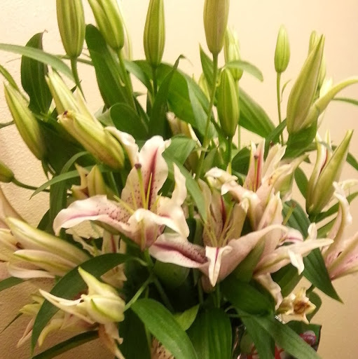 Jane Han Photo 19