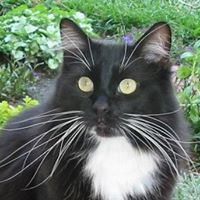Susan Connors Photo 36