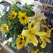 Gregory Holbrook Photo 15