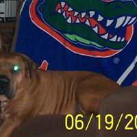 Julie Scherer Photo 17