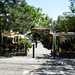 Lori Dunne Photo 12