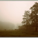 Misty Sharp Photo 19