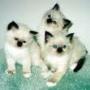 Teresa Hamby Photo 12