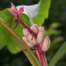 Hal Bush Photo 8