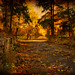 Lloyd Conklin Photo 9