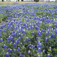 Gloria Melton Photo 9