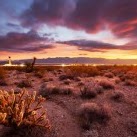 Suzanne Jimenez Photo 17