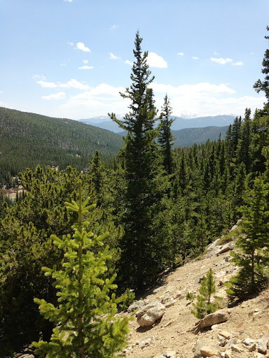 John Dauer Photo 11