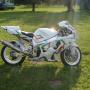 Aaron Peters Photo 9
