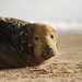 Donna Daniels Photo 10