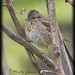 Judy Burton Photo 20