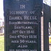 Daniel Reese Photo 16