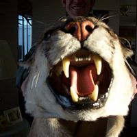 Justin Kropf Photo 5