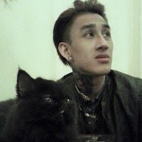 Steven Luu Photo 18