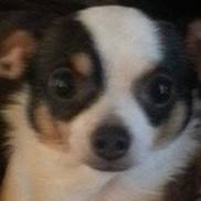 Linda Farley Photo 31