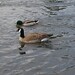 Eugene Hansen Photo 15