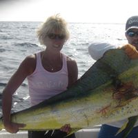 Donna Hart Photo 19