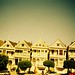 Jesse Olson Photo 14