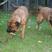 Suzan French Photo 12
