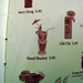 Chu Fu Photo 9