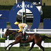 John Winer Photo 15
