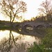 John Burnside Photo 40
