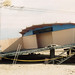 Judy Foreman Photo 16