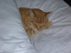 Mary Kersey Photo 27