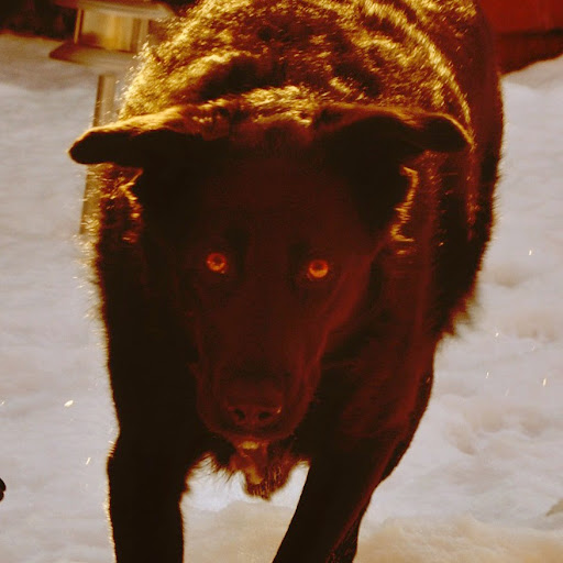 Jerry Quinn Photo 12