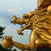 Wen Shi Photo 25