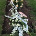 Kenneth Daugherty Photo 17
