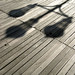 Mark Cromer Photo 15