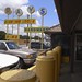 Jack Singleton Photo 34