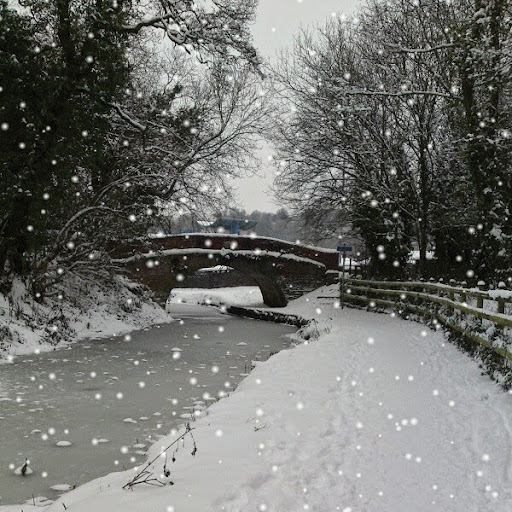 Joyce Bevan Photo 24