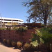 Robyn Robison Photo 8