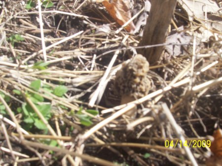 Amy Bradley Photo 9