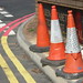 Elizabeth Cone Photo 19
