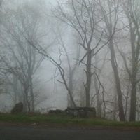 Joy Frye Photo 8