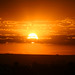 Sol Torres Photo 13