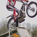 Andrew Perry Photo 40