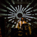 David Larson Photo 32