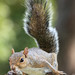 Charlie Gray Photo 24