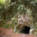Julie Symonds Photo 14