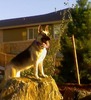 Steven Farley Photo 18