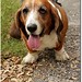 Rufus Simmons Photo 11